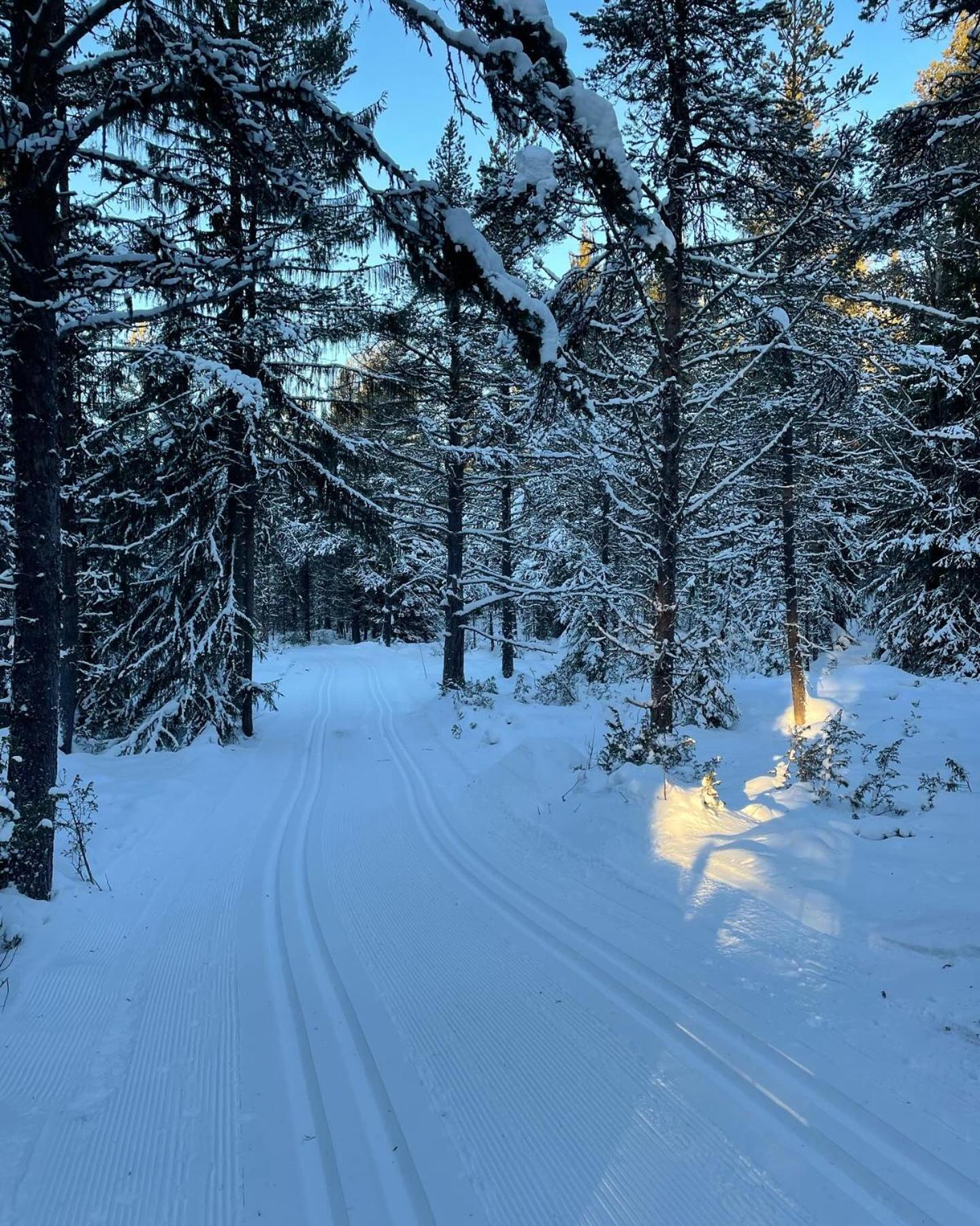 Bjorgebu Camping As Mysusæter Exterior foto