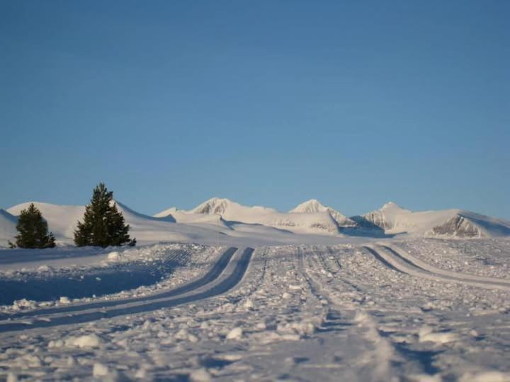 Bjorgebu Camping As Mysusæter Exterior foto
